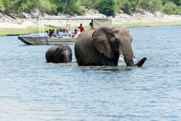 Water Based Tours - Game Drives