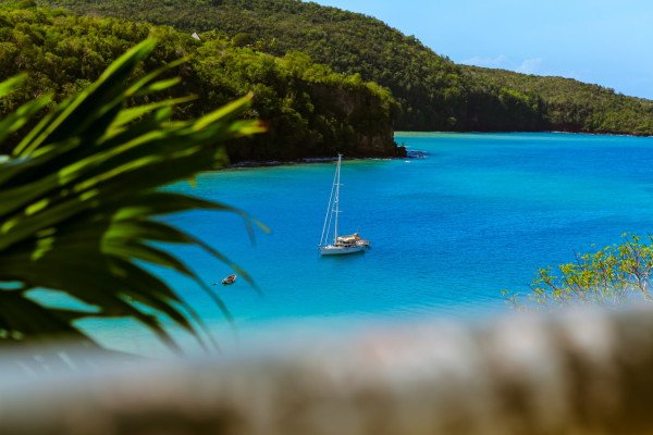 Caribbean Enchantment