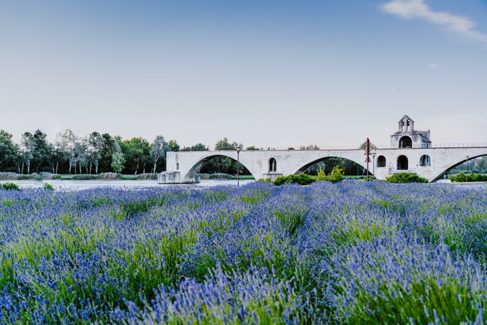 Burgundy & Provence