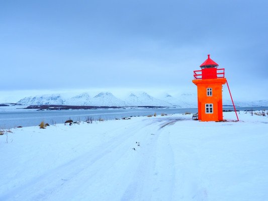 NEW PRICE REDUCTION - Longyearbyen to Reykjavik