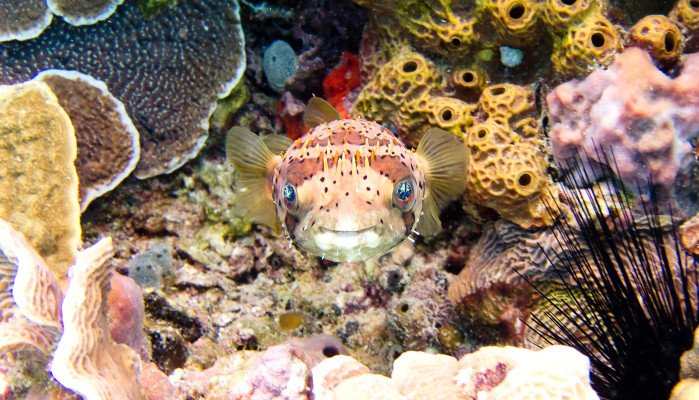 7 Night Key West, Mexico & Cayman