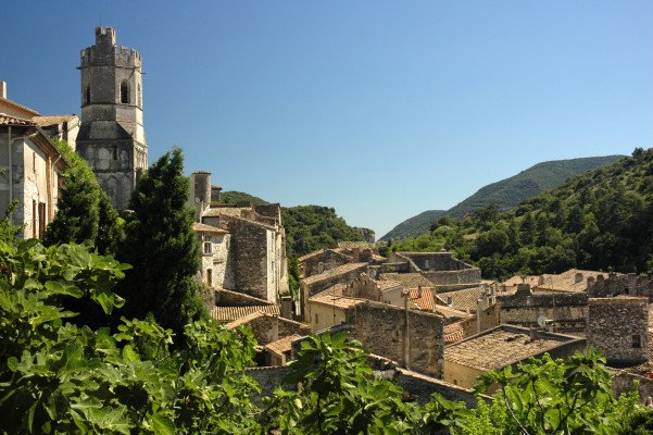 Idyllic Rhône with Highlights of Paris