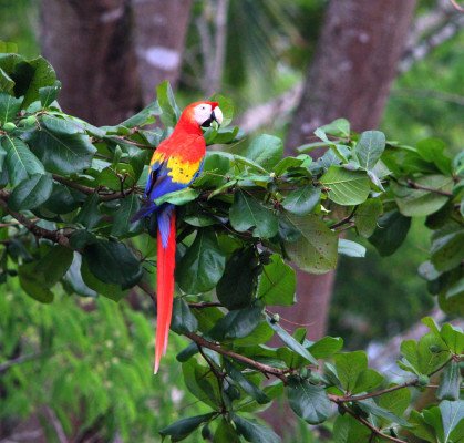 Pacific Coast of Costa Rica