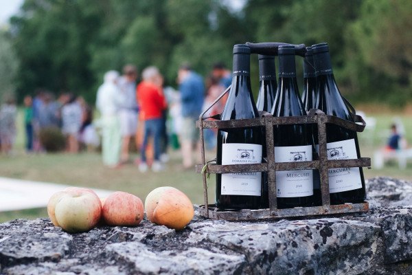 Flavors of Burgundy (Wine Cruise)
