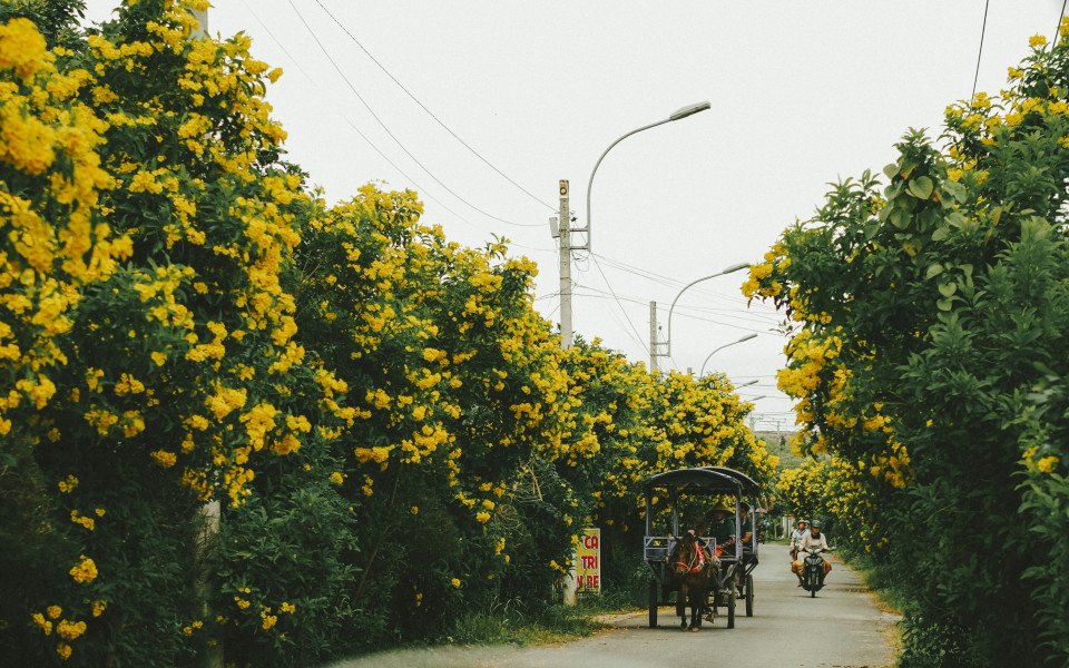 10 Image 10
