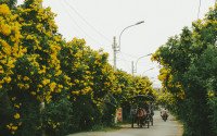 10 Image 10