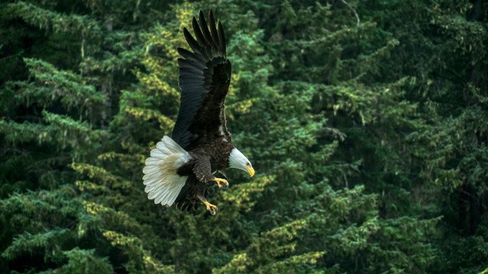 Seward (Anchorage to Vancouver