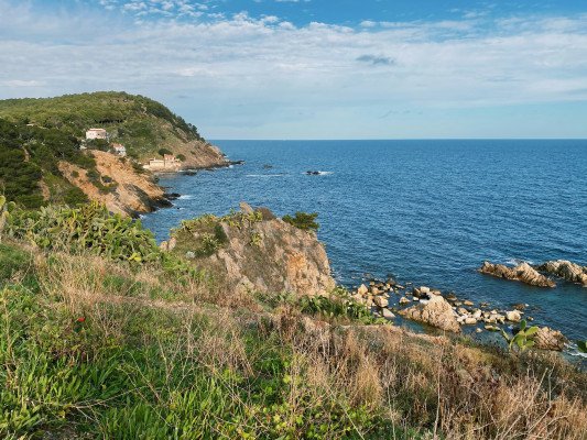 Spellbinding Rivieras