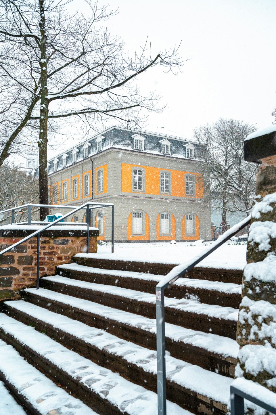 9 Image 9