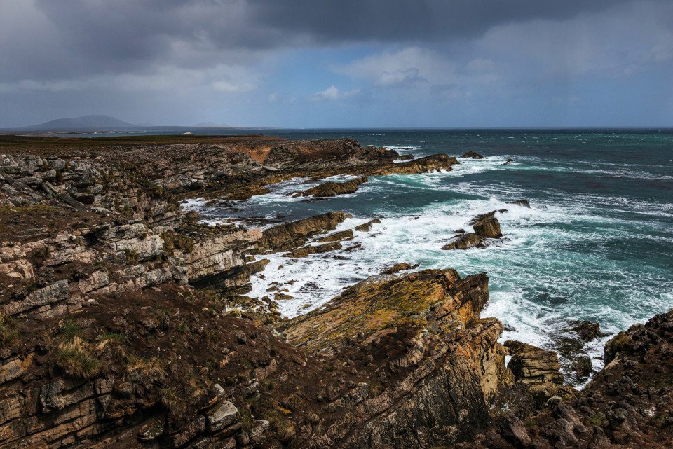 Falkland_Islands_(Malvinas)