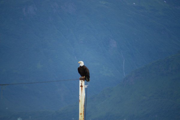 Alaska & the Inside Passage