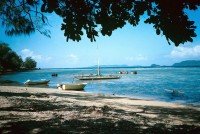 4 Image 4