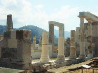 5 Image 5