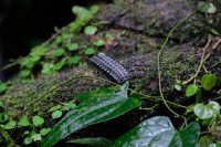 13 Image 13