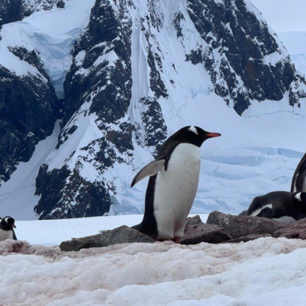 Antarctica