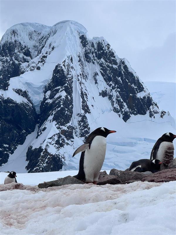 Antarctica
