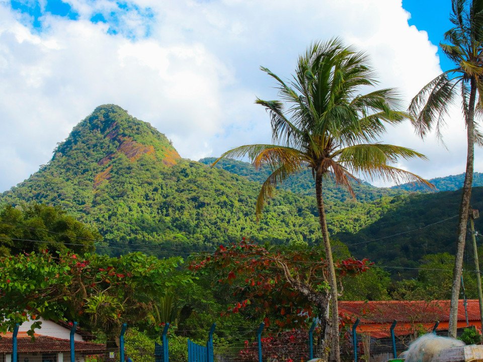 Brazil