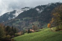8 Image 8