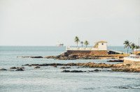 7 Image 7