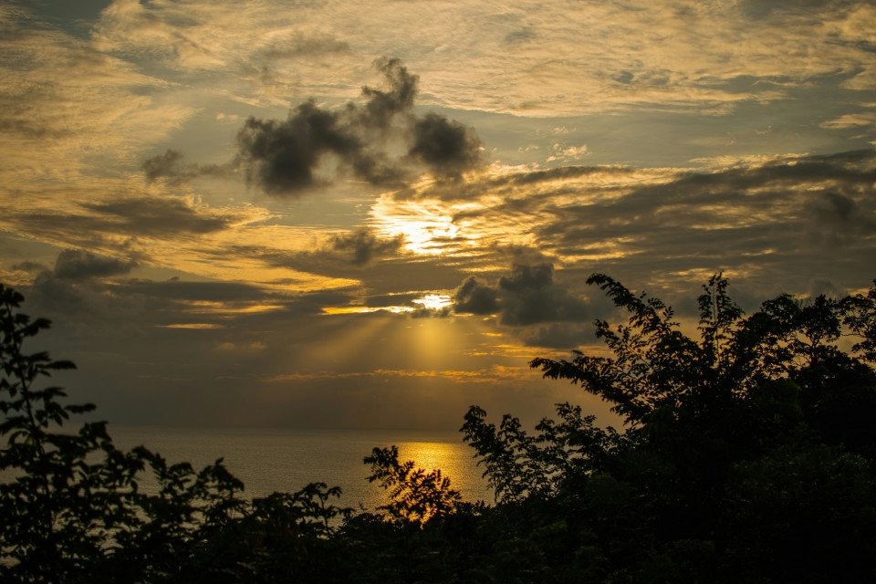6 Image 6