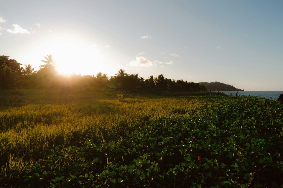 French_Guiana