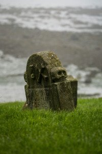 8 Image 8