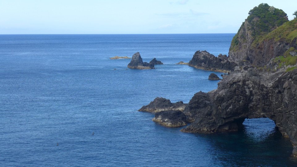 4 Image 4