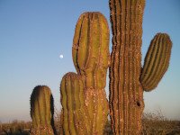 14 Image 14