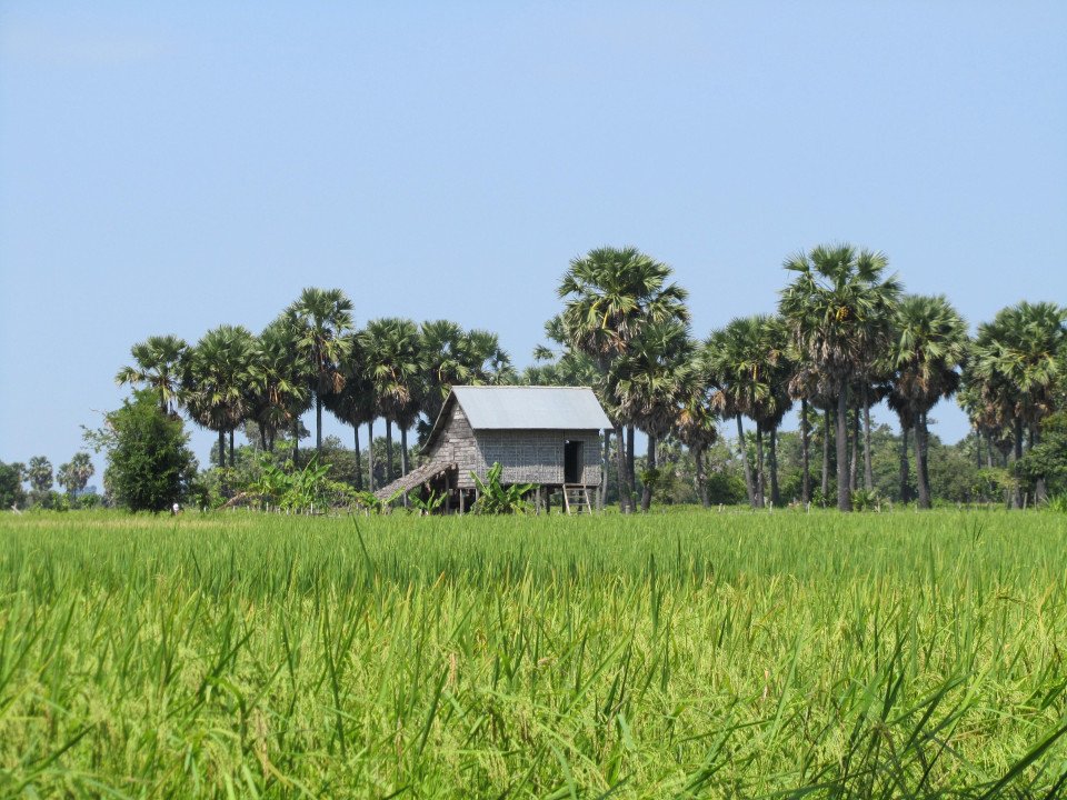 Chong Koh Village