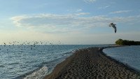 6 Image 6