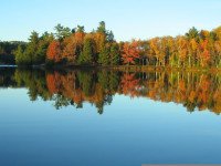 11 Image 11