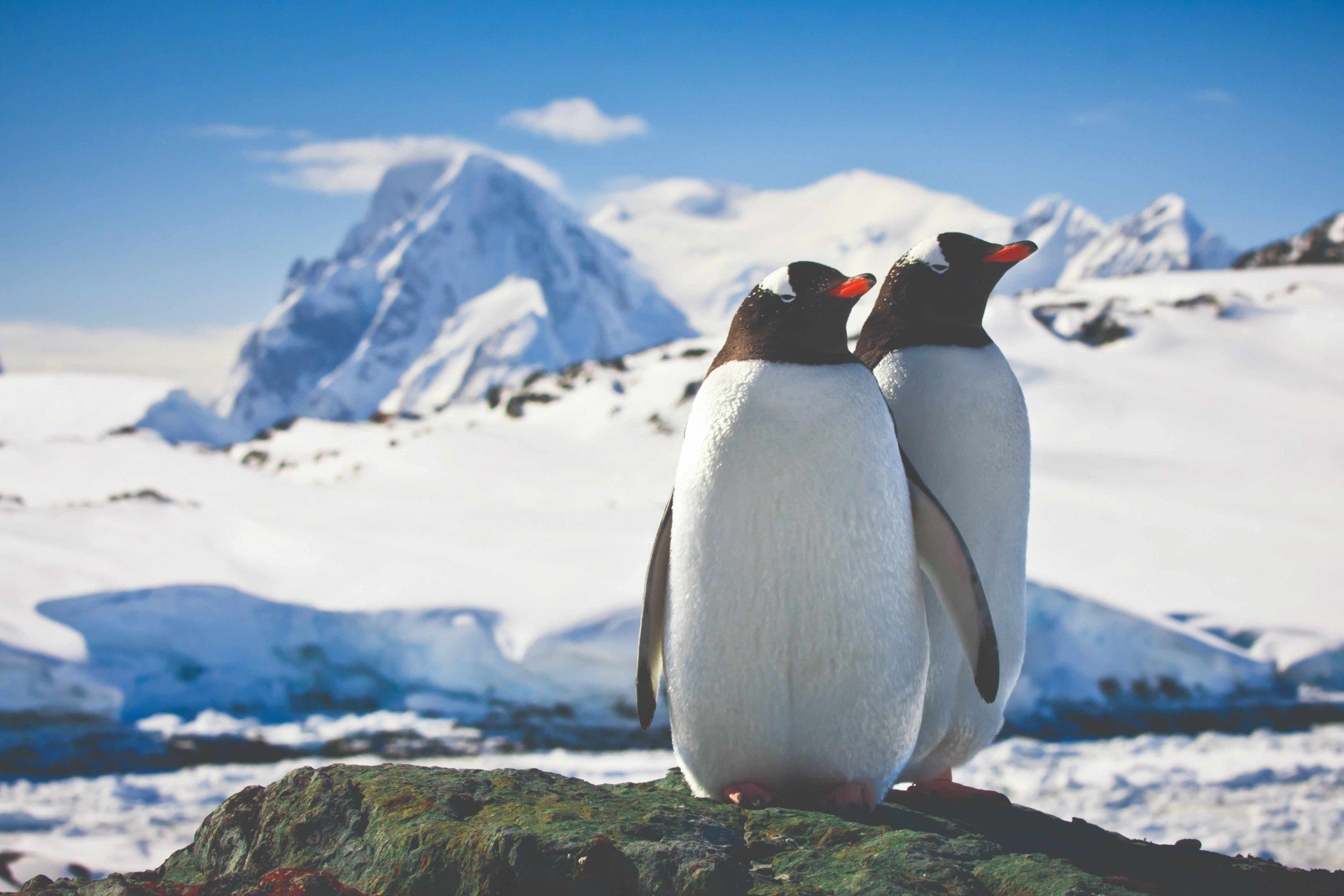 Expedition cruises: Why these once-in-a-lifetime holidays are the new way to explore