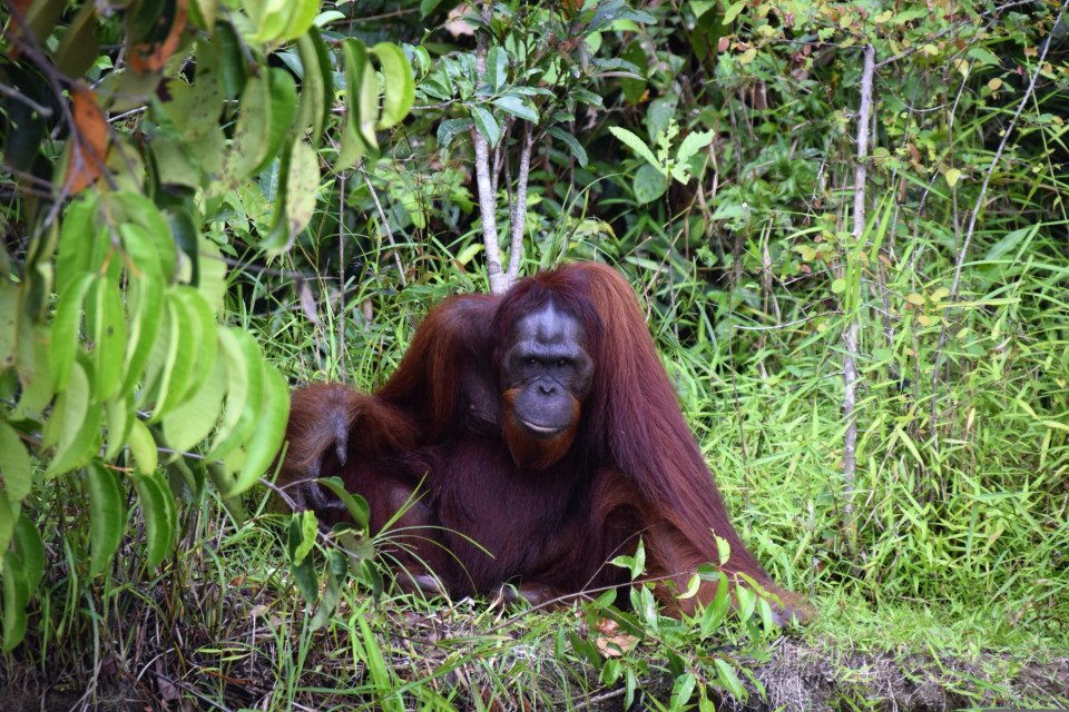 11 Image 11