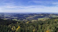 11 Image 11
