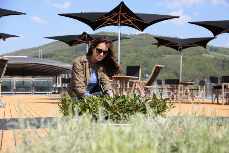 Sun Deck Herb Garden