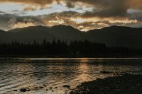 11 Image 11
