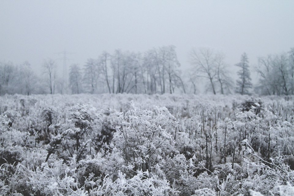 6 Image 6