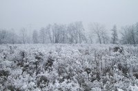 6 Image 6