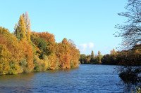 13 Image 13