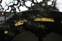 11 Image 11