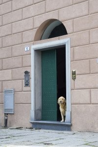 18 Image 18