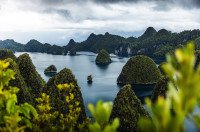 10 Image 10