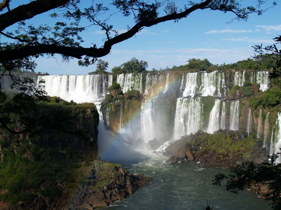 12 Image 12