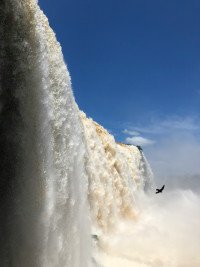 10 Image 10