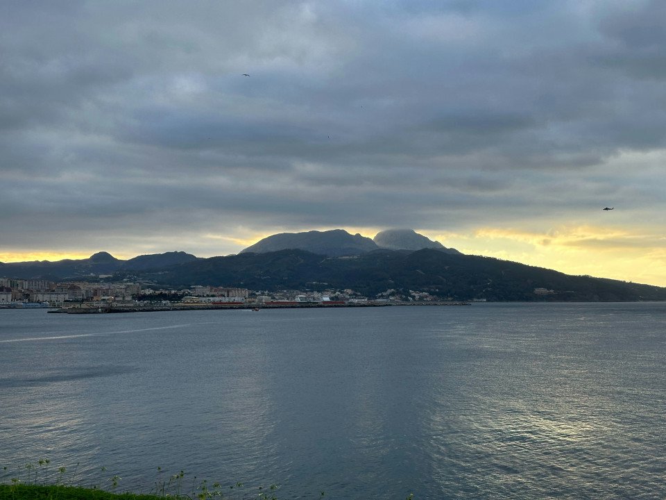 12 Image 12
