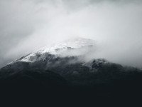 3 Image 3