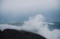 4 Image 4