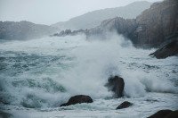 37 Image 37
