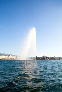 45 Image 45