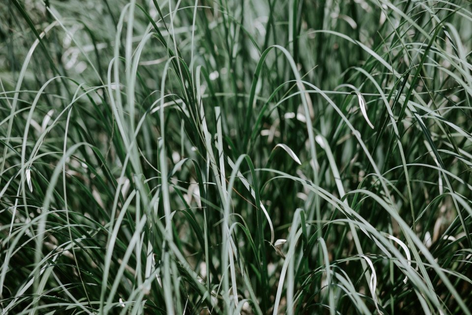 47 Image 47
